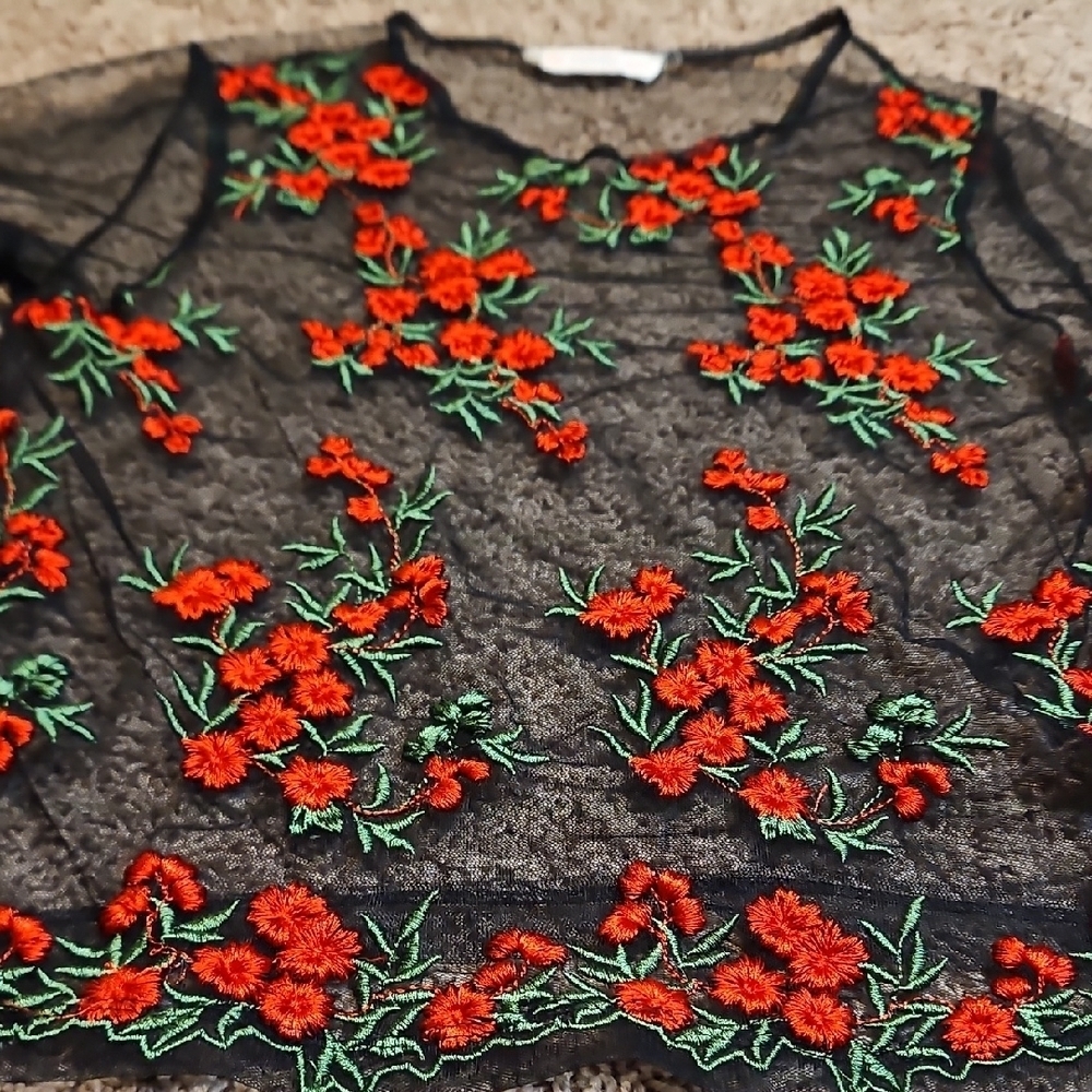 Twinkle By Wenlan Sheer Mesh Embroidered Top - Picture 5 of 11
